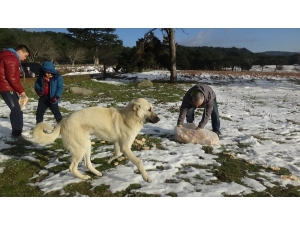 Lokantacılar Ve Fırıncılardan Örnek Davranış