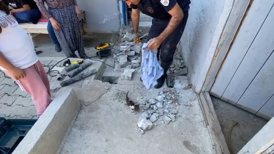plastik-boruya-sikisan-yavru-kedi-itfaiye-ekiplerince-kurtarildi