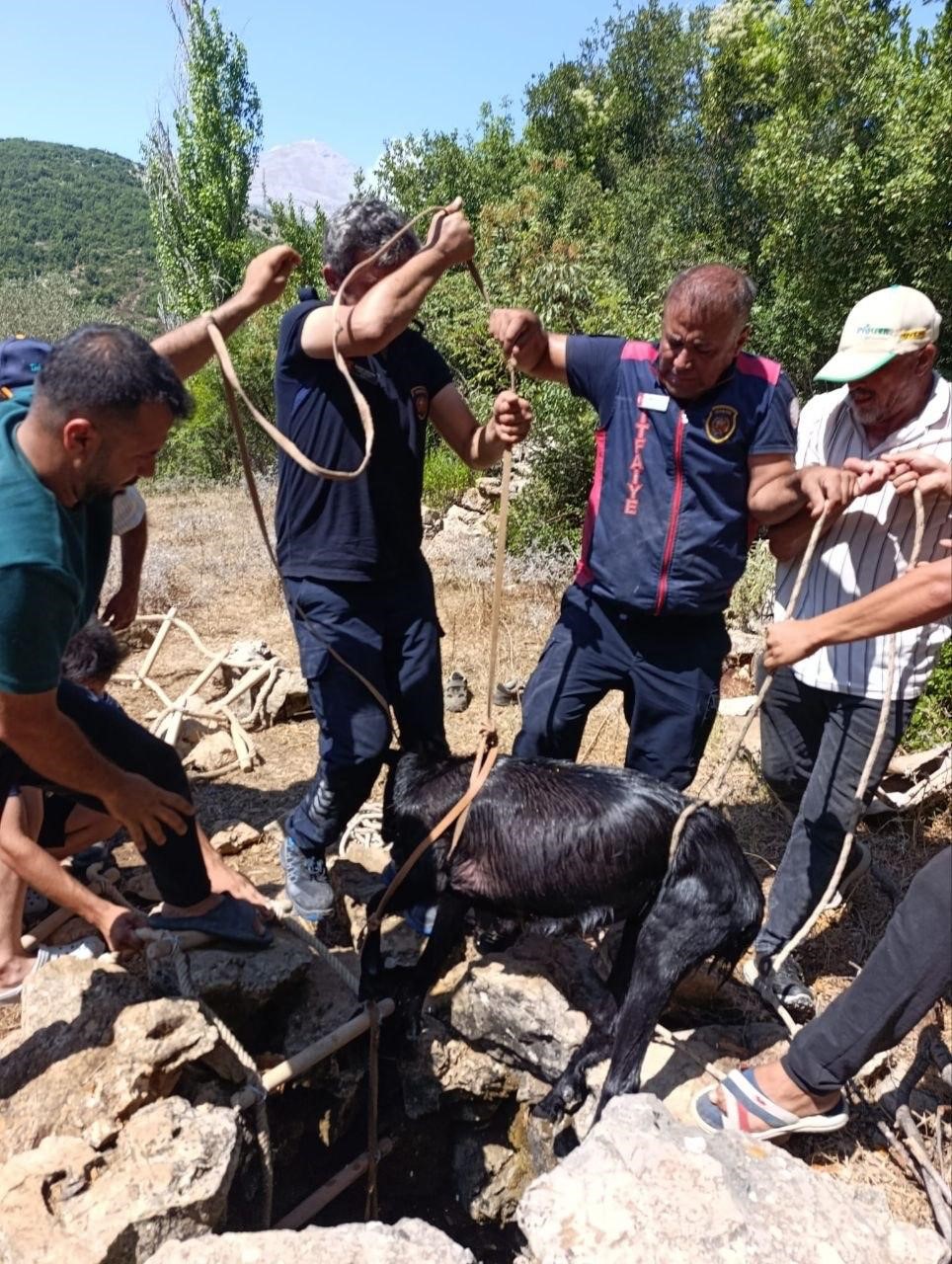 su-kuyusuna-dusen-keci-itfaiyenin-operasyonuyla-kurtarildi