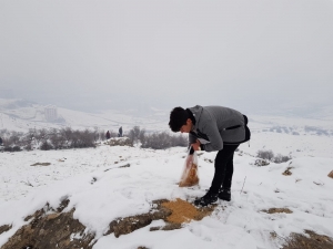 Gençler Hayvanların Aç Kalmaması İçin Doğaya Yiyecek Bıraktı