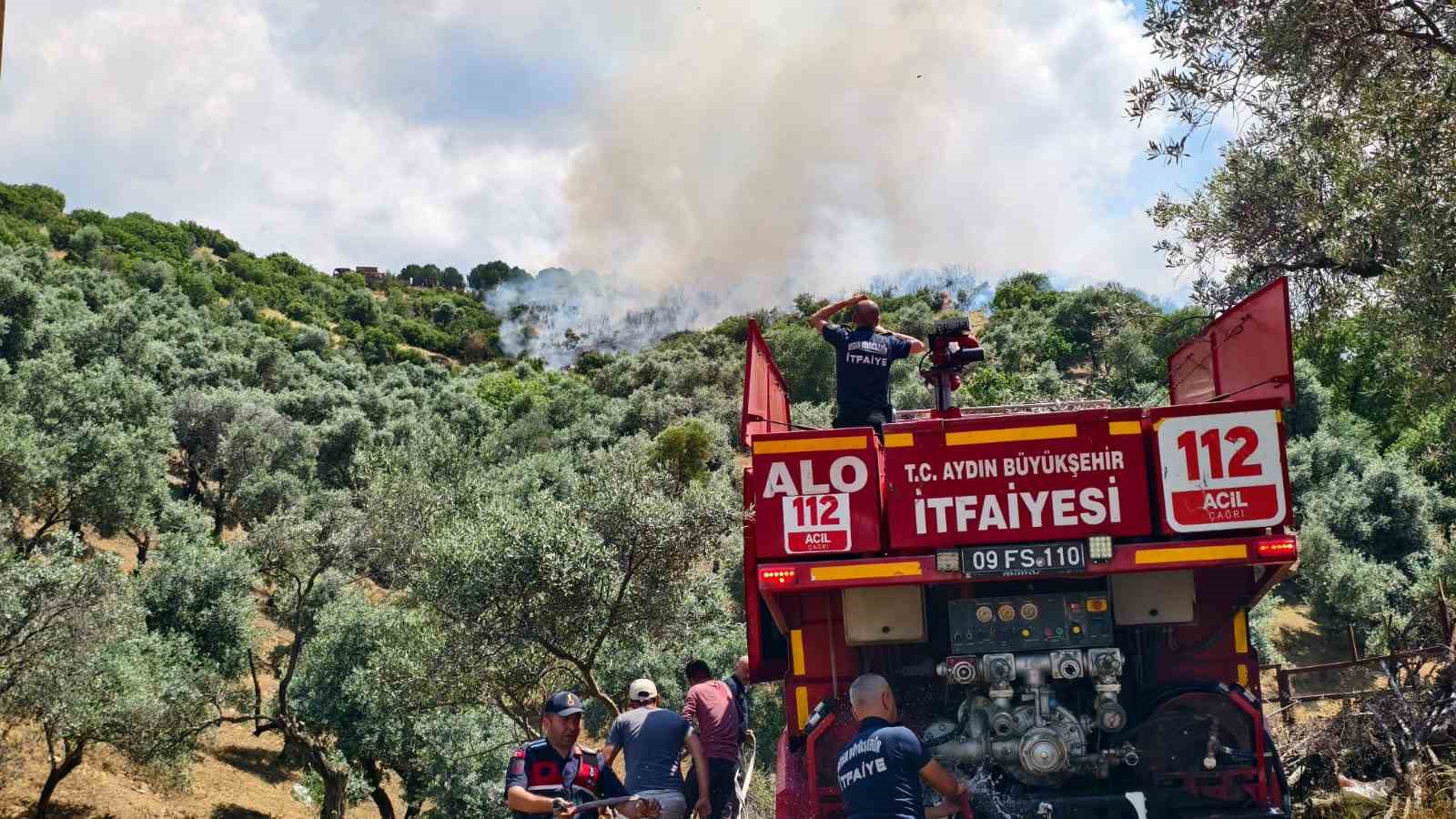 yenipazar-daki-makilik-yangini-kontrol-altina-alindi