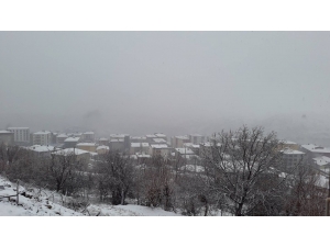 Kulp’ta Eğitime Kar Tatili