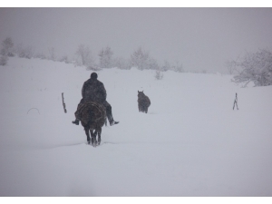 Bingöl’de 281 Köye Kar Nedeniyle Ulaşım Sağlanamıyor