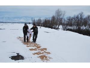 Aç Kalan Hayvanların İmdadına Yetiştiler