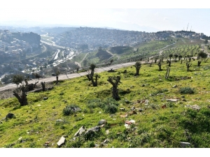 Kale’de Yeşil Seferberlik