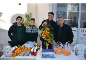 Mehmet Tosun Bodrum’u Karış Karış Geziyor