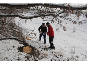 Yaban Hayvanları İçin Doğaya 6,5 Ton Yem Bırakılacak