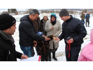 Bilecik’te Çiftçilere Koyun Dağıtıldı