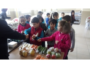 Düzce’de Okul Kantinlerinde Meyve Ve Sebze Dönemi