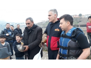 Cizre’de Nehirde Ayağına Olta İpi Dolanan Ördeği İtfaiye Kurtardı