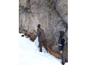 Bingöl’de Yaban Hayvanlar İçin Doğaya Yem Bırakıldı