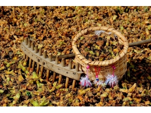 Kfmib: “Alan Bazlı Destek Sıladakine Verilmeli”