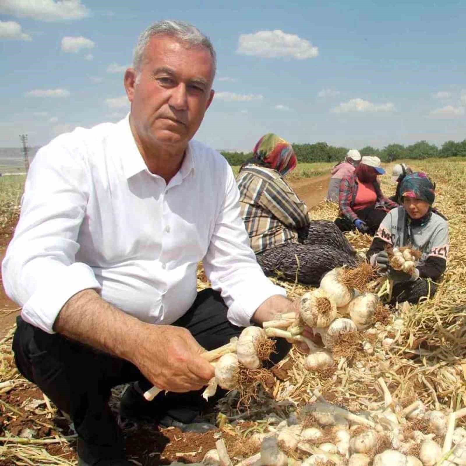 altun-dan-tarim-mesaji