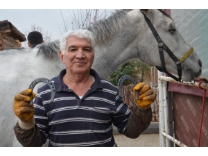 Tekmeler Yedi, Alt Dişleri Döküldü, Ama Atlara Olan Sevgisi Hiç Bitmedi