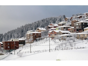 Giresun Yaylalarından Kartpostallık Görüntüler