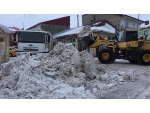 Günlük 70 Kamyon Kar Taşınıyor