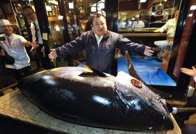278 Kiloluk Orkinos Balığı Yaklaşık 16 Milyon Tl'ye Satıldı