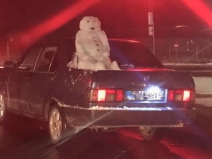 Kardan Adamla Seyahat