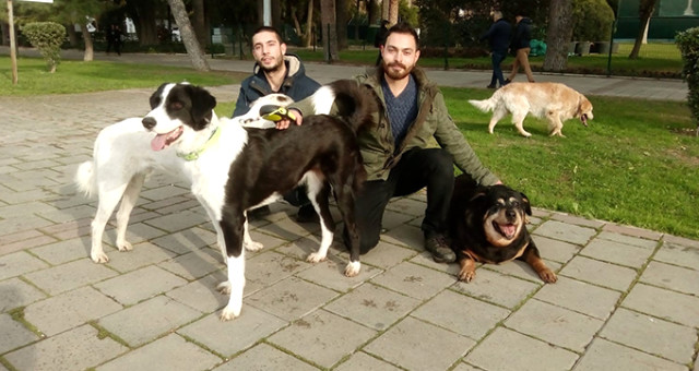 Yeni Bir İş Sektörü Doğuyor! Köpek Gezdirerek Saatte 150 Lira Kazanıyorlar