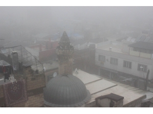 Kilis’te Yoğun Sis