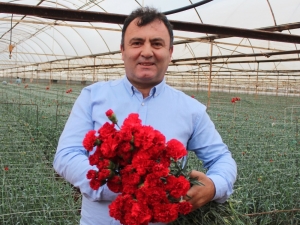 Süs Bitkileri İhracatı 100 Milyon Dolara Ulaştı