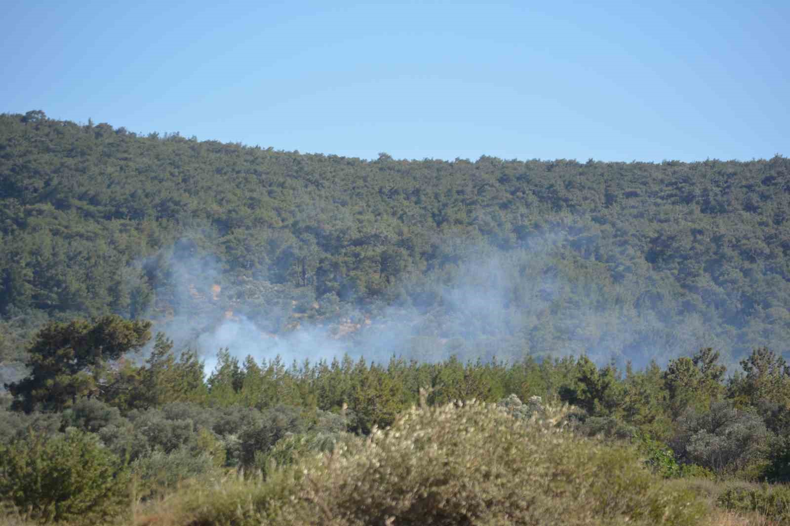ayvalik-ta-ciftlik-yangini-ormana-sicradi