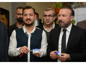 İzmit’teki Projeyle Sokak Hayvanları Zarar Görmüyor