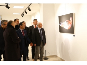 "Kurul" Sergisi Ünye’de Açıldı
