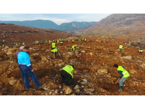 296 Hektar Alan Yandı, 1.926 Hektar Alan Ağaçlandırıldı