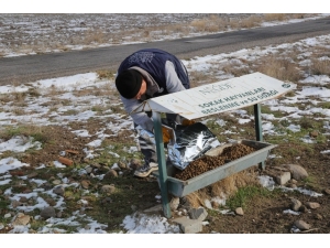Niğde Belediyesi Sokak Hayvanlarına Sahip Çıkıyor