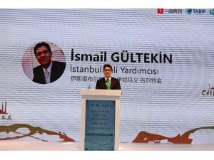 Türk-çin İş Dünyası Zirvede Buluştu