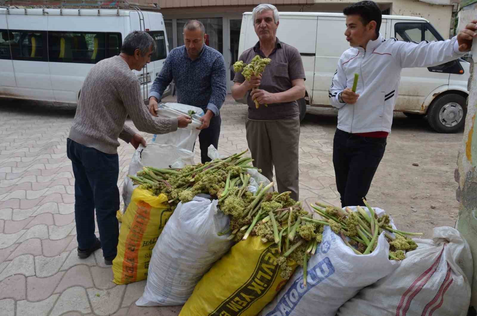 yaylalardan-toplandi-tezgahlarda-satisa-sunuldu