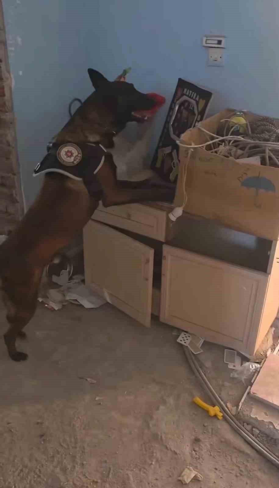 bingol-de-3-kilo-esrar-ele-gecirildi