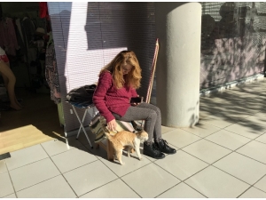 Kedi İle Köpeğin Soğuk Hava Dostluğu Yürekleri Isıttı