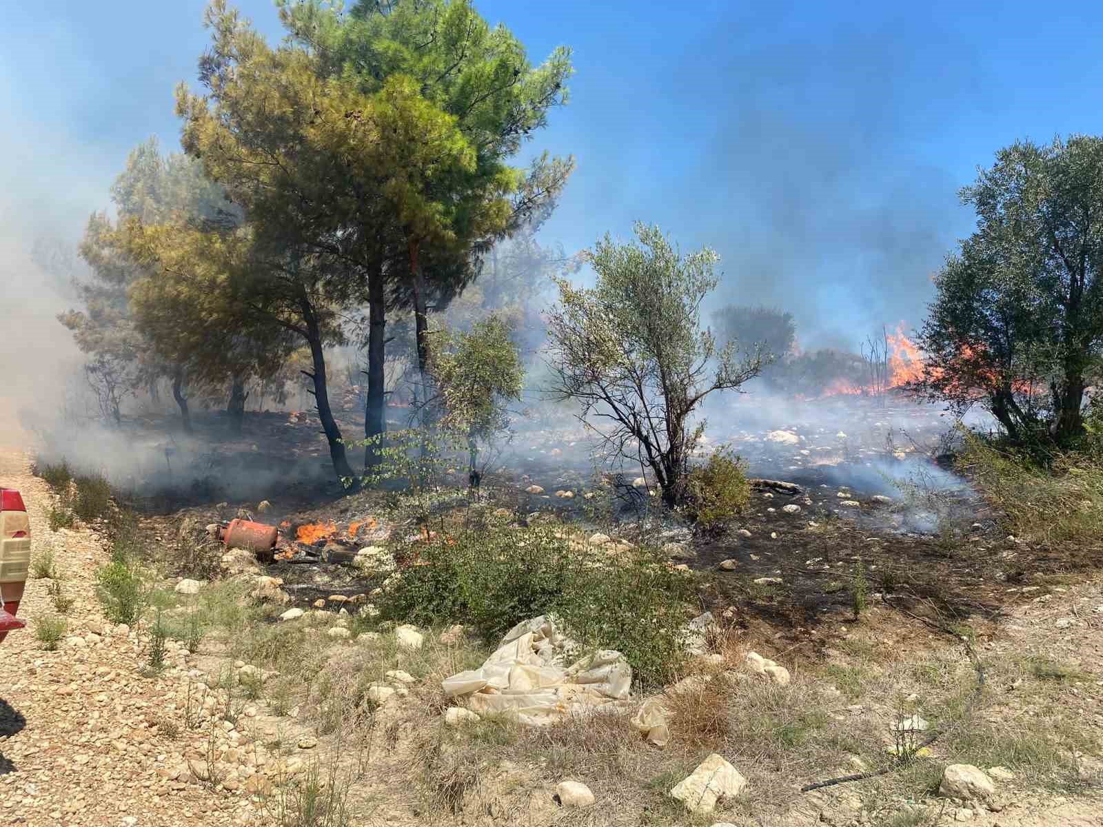 antalya-da-zirai-alanda-cikan-yangin-buyumeden-sonduruldu