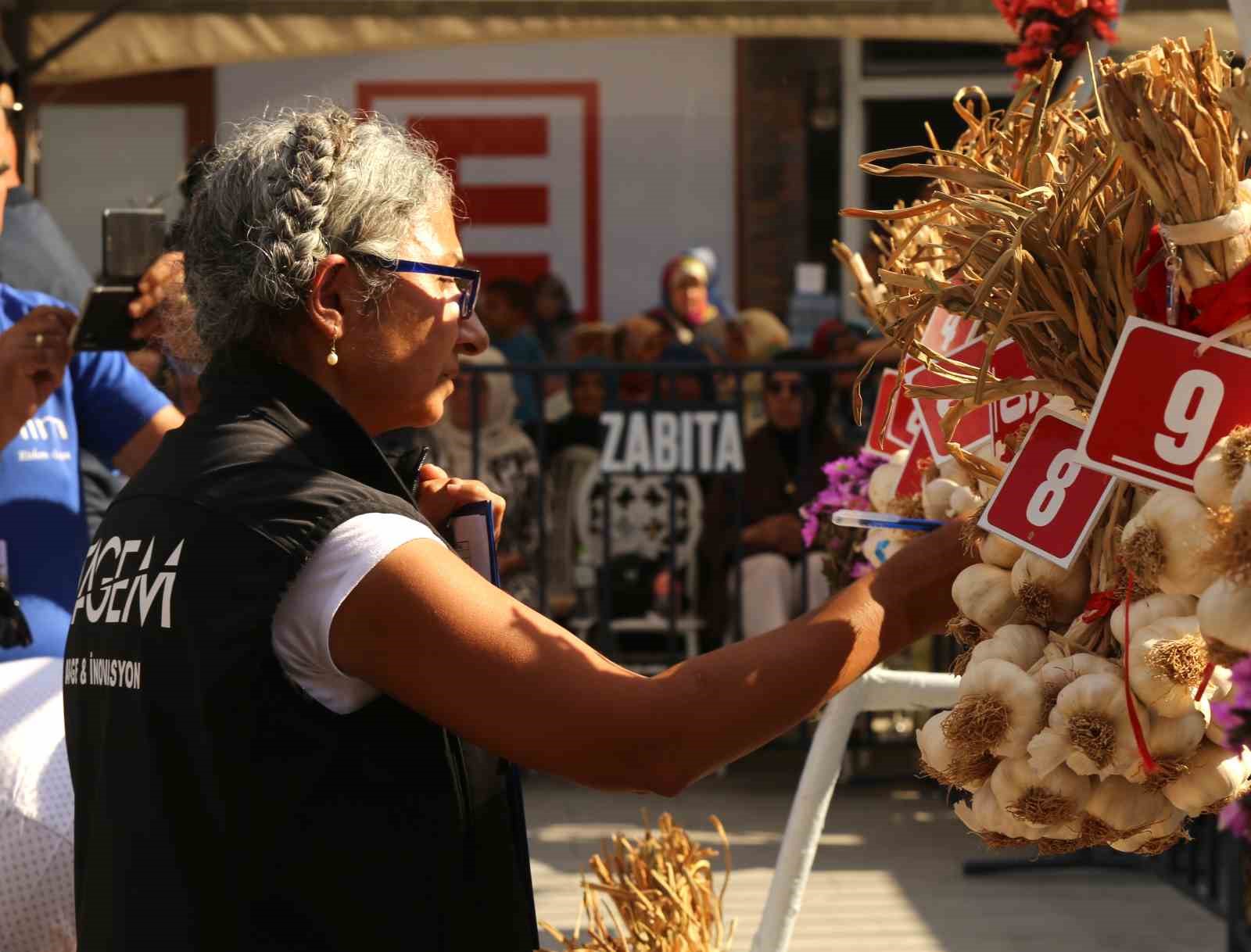 dunyaca-unlu-taskopru-sarimsagi-festivalde-yaristi-80-demet-arasindan-en-iyi-sarimsak-secildi