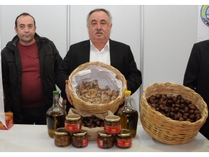 Aydın’ın En Meşhur Efeleri: İncir, Kestane, Zeytin