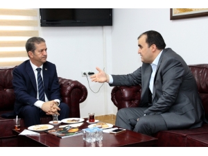 Yüreğir Ziraat Odası Başkanı Doğan: “Adana Bölgesinde Narenciye Toplamakta İşçi Sıkıntısı Yaşadık”