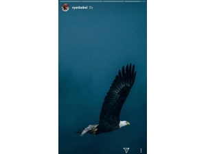 Babel Fulham Yolcusu