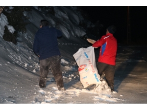 Yaban Hayvanları İçin Gece Dağlara Ekmek Bıraktı