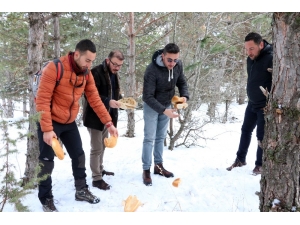Soğuk Kış Günlerinde Yaban Hayvanlarını Unutmadılar