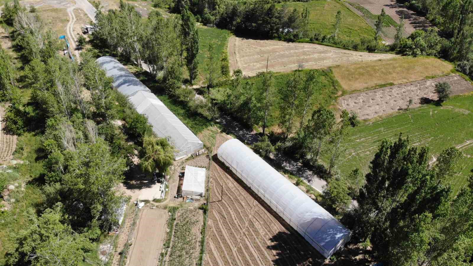 bayburt-ta-yuzde-70-hibeli-sera-projesi-icin-basvurular-yarin-basliyor