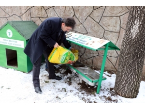 Yozgat Belediyesi’nden Sokak Hayvanlarına Şefkat Eli