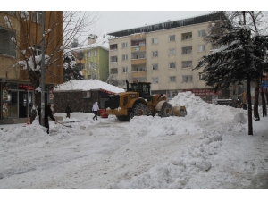 Bingöl’de 650 Kamyon Kar Şehir Dışına Taşındı