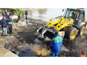 Okulun Yakıt Tankından Sızan Fuel Oil Yağmurla Birlikte Denize Ulaştı