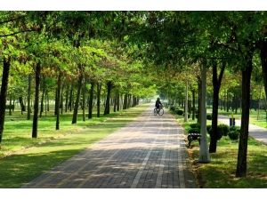 Kocaeli’de 1 Yılda 325 Bin 210 Fidan Toprakla Buluştu