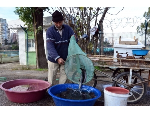 Yayın Balığı Satarak 2 Çocuk Okuttu