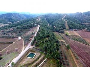 Sarıgöl’e 400 Dönümlük Sosyal Alan Müjdesi