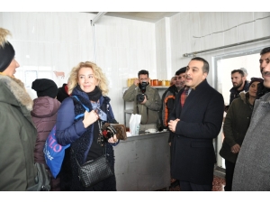 Vali Öksüz, Boğatepe’de İncelemelerde Bulundu