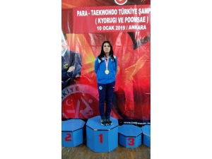 Kağıtsporlu Teakwandocu, Dünya Şampiyonası Yolcusu